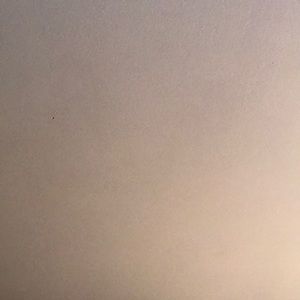 Meet your Posher, Trista